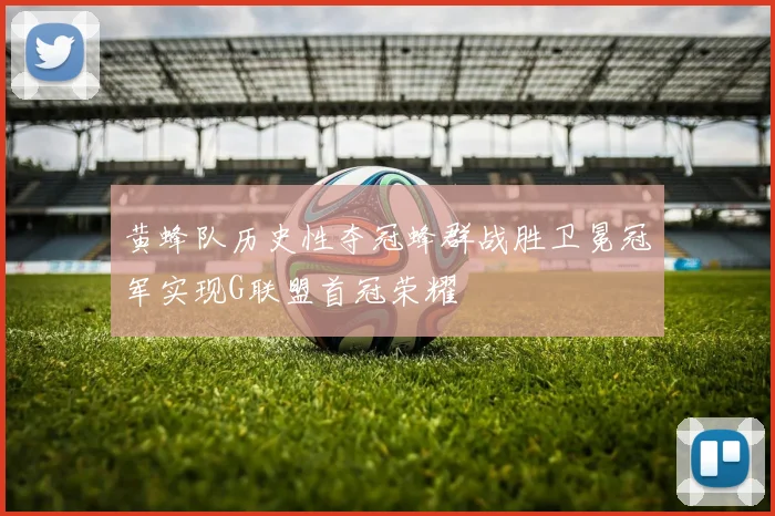 黄蜂队历史性夺冠蜂群战胜卫冕冠军实现G联盟首冠荣耀