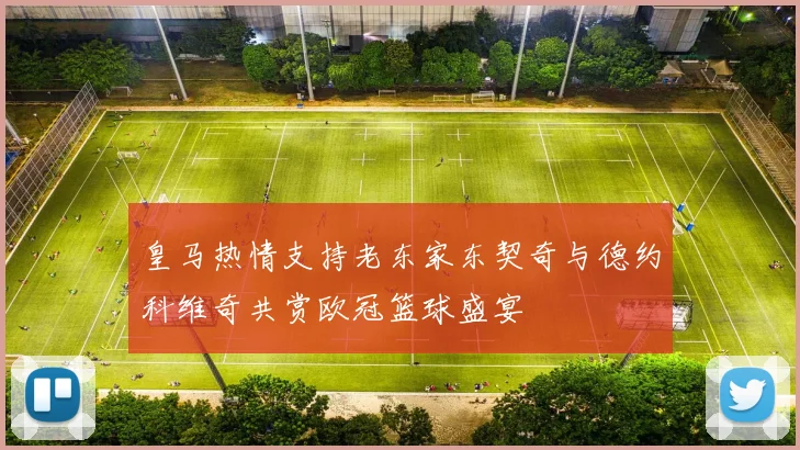 皇马热情支持老东家东契奇与德约科维奇共赏欧冠篮球盛宴