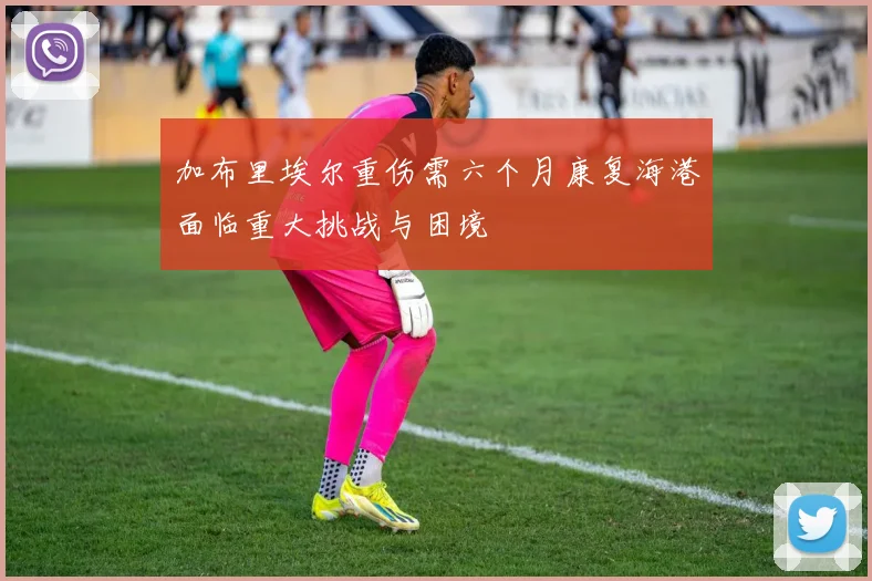 加布里埃尔重伤需六个月康复海港面临重大挑战与困境