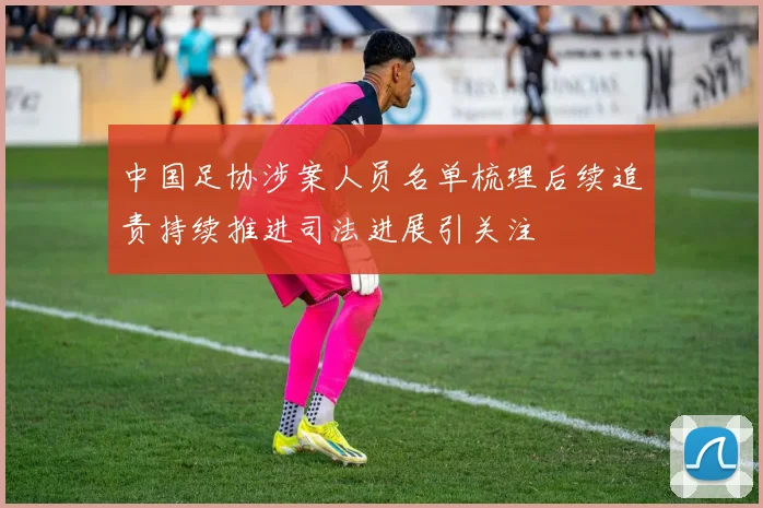 中国足协涉案人员名单梳理后续追责持续推进司法进展引关注