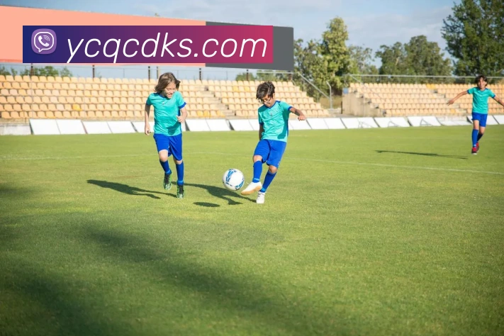 多媒体互动体验